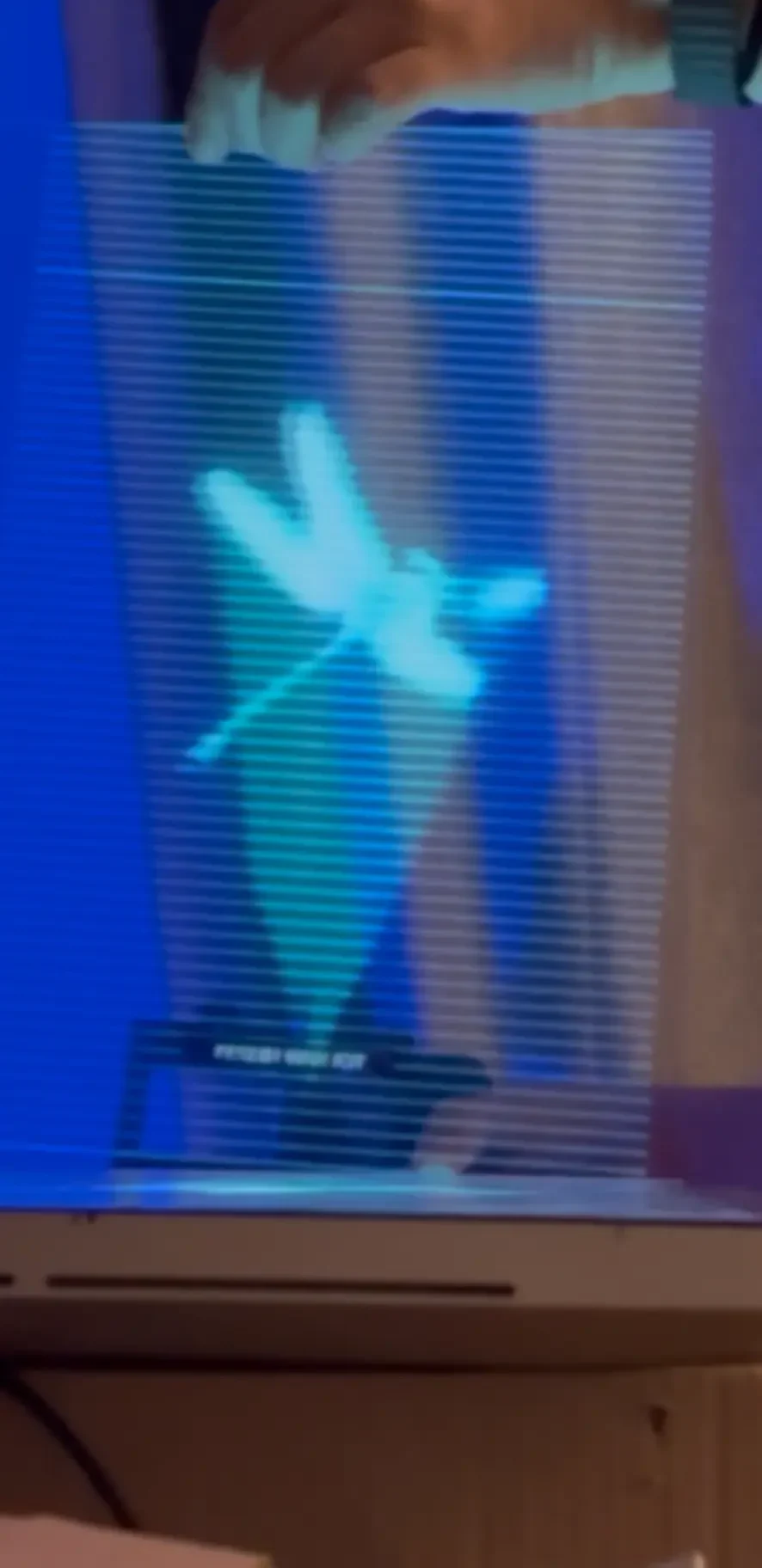 Detalle del holograma de libélula