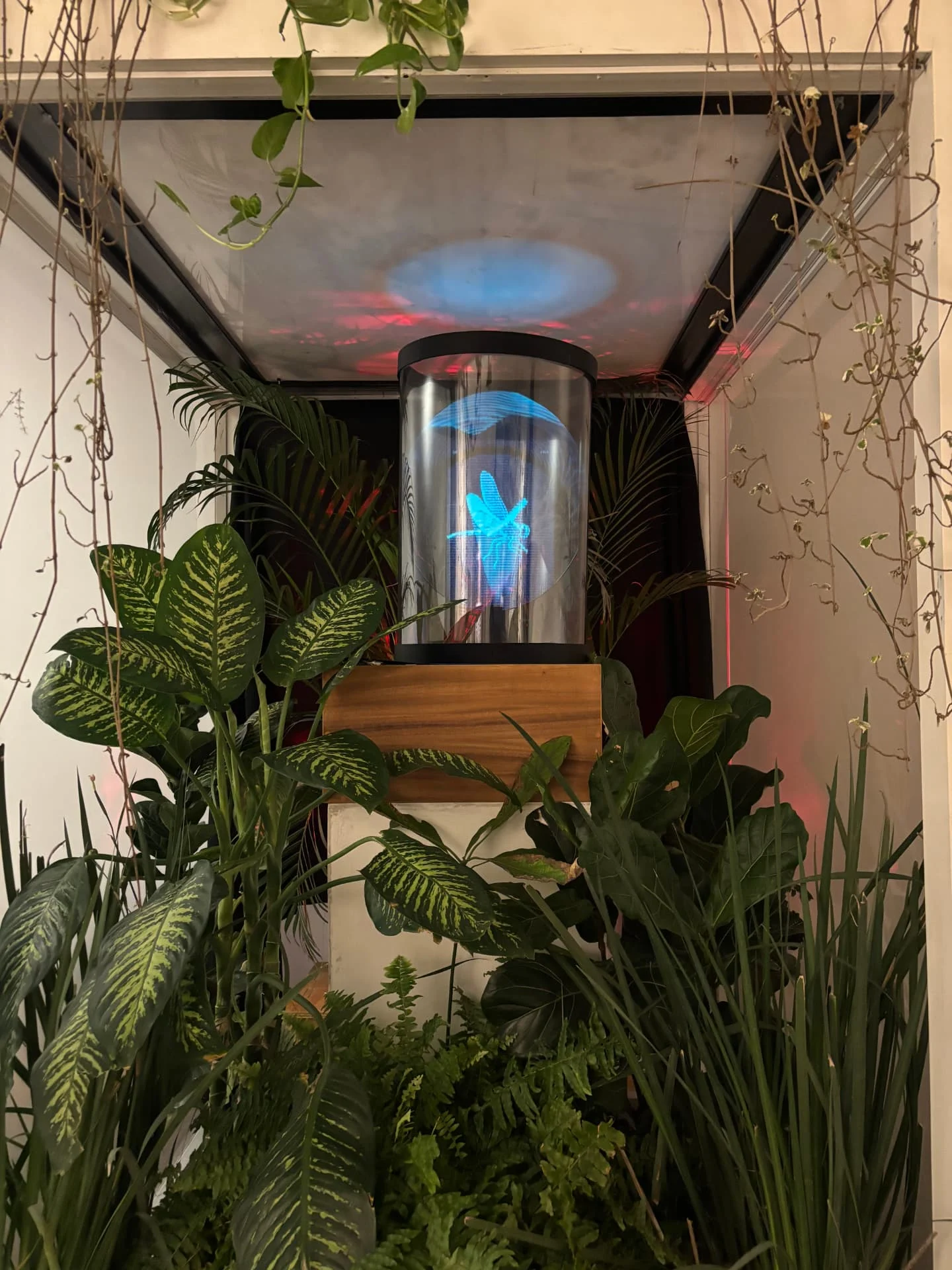 Holograma entre plantas vivas